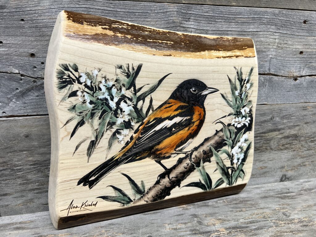 Baltimore Oriole Live-Edge Wall Art