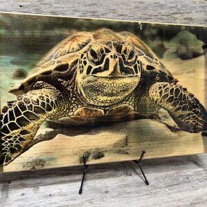Sea Turtle Charcuterie Board & Serving Tray